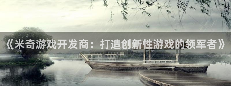 《米奇游戏开发商：打造创新性游戏的领军者