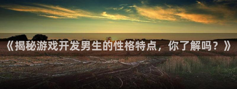 沐鸣娱乐平台怎么样可靠吗：《揭秘游戏开发