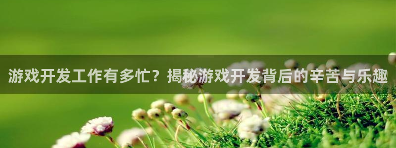 沐鸣科技和沐瞳科技哪个好：游戏开发工作有