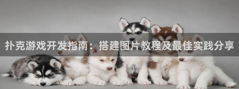 沐鸣科技有哪些产品卖：扑克游戏开发指南：