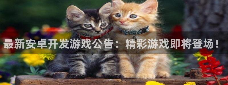 沐鸣娱乐平台怎么样：最新安卓开发游戏公告