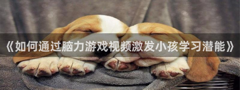 沐鸣3注册登录：《如何通过脑力游戏视频激