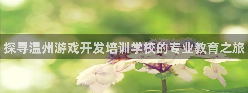 沐鸣网址：探寻温州游戏开发培训学校的专业