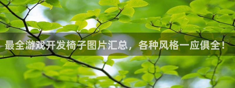沐鸣娱乐注册平台官网：最全游戏开发椅子图
