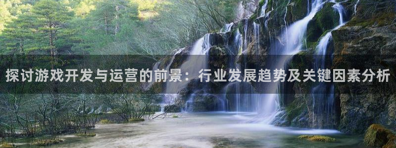 沐鸣咨询：探讨游戏开发与运营的前景：行业
