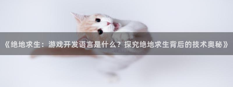 沐鸣娱乐官方平台怎么样：《绝地求生：游戏