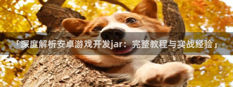 沐鸣娱乐游戏：「深度解析安卓游戏开发ja