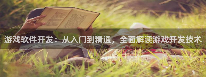 沐鸣娱乐测速：游戏软件开发：从入门到精通