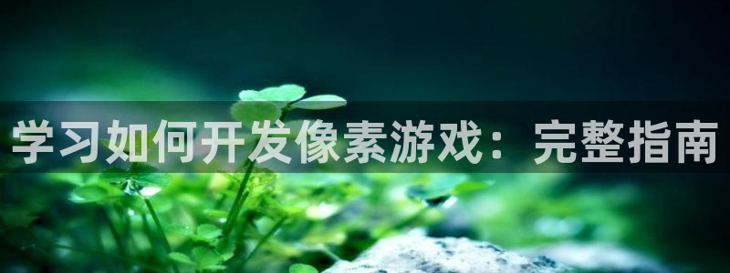 沐鸣是什么：学习如何开发像素游戏：完整指