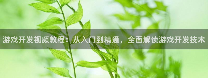 沐鸣娱乐注册平台是什么：游戏开发视频教程