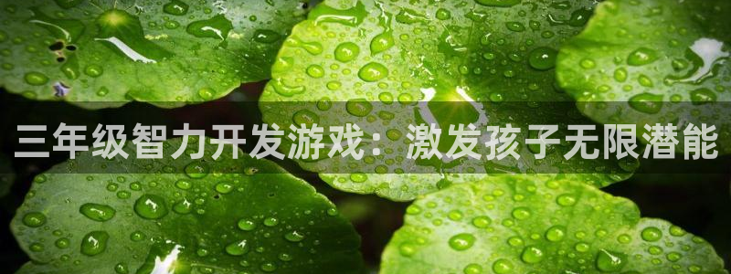 沐鸣科技和沐瞳科技哪个好：三年级智力开发