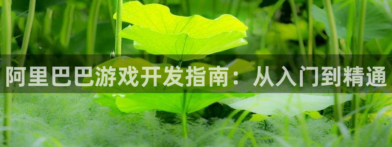 沐鸣娱乐官网首页：阿里巴巴游戏开发指南：