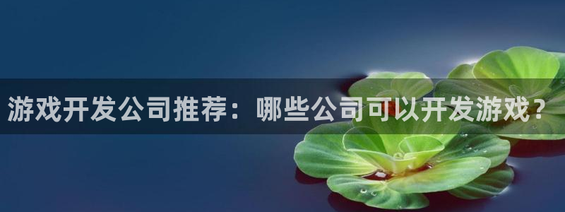 沐鸣娱乐是真的吗还是假的：游戏开发公司推
