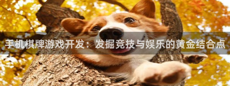 沐鸣科技做的游戏怎么样：手机棋牌游戏开发