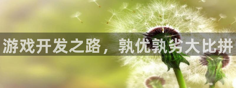 沐鸣平台是黑平台吗知乎：游戏开发之路，孰