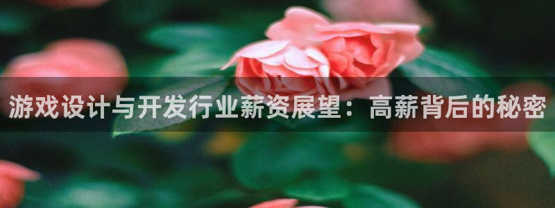 沐鸣娱乐招商