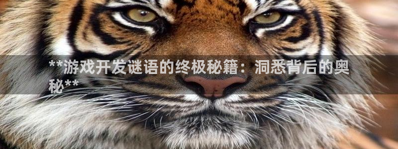 沐鸣平台是黑平台吗