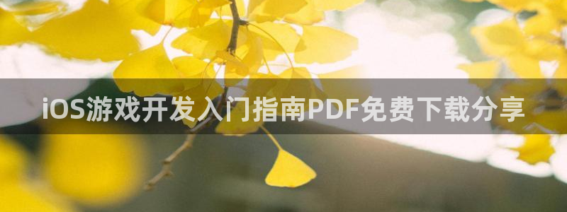 沐鸣娱乐怎么注册：iOS游戏开发入门指南