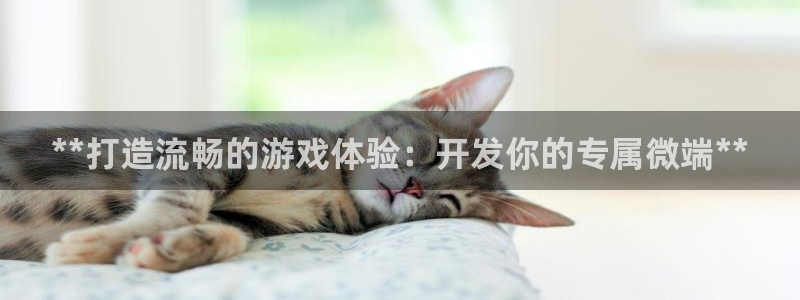 沐鸣娱乐官方平台：**打造流畅的游戏体验