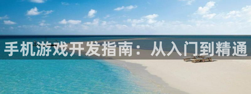 沐鸣4主管：手机游戏开发指南：从入门到精
