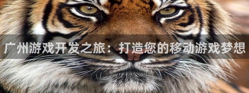 沐鸣平台是黑平台吗