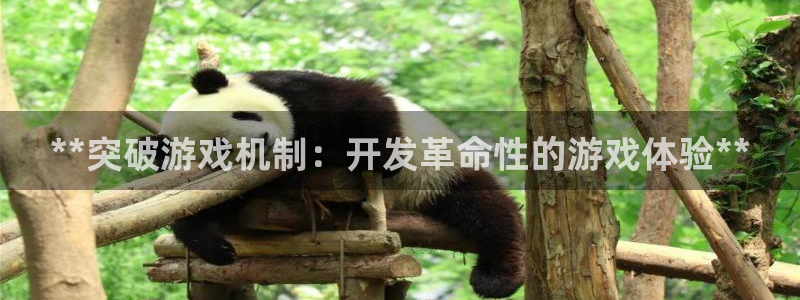 沐鸣4主管：**突破游戏机制：开发革命性