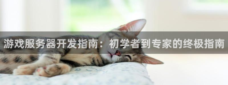 沐鸣科技做的游戏