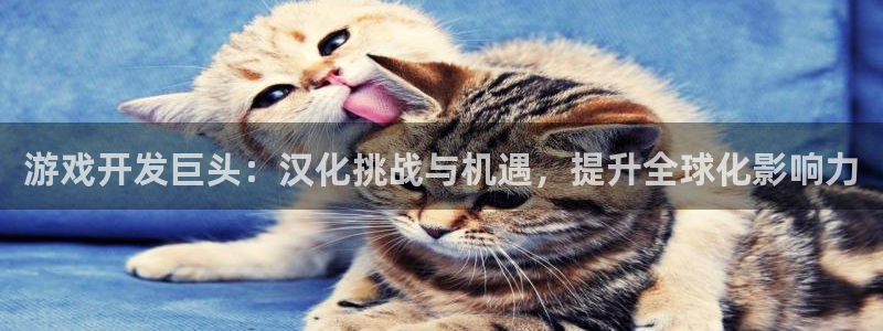 沐鸣平台注册：游戏开发巨头：汉化挑战与机