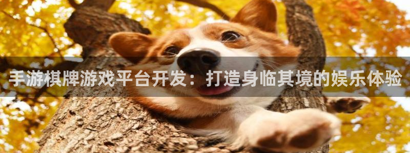 沐鸣平台官方网站