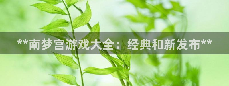 沐鸣平台注册资金多少亿