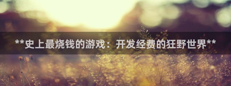 沐鸣科技和沐瞳科技：**史上最烧钱的游戏