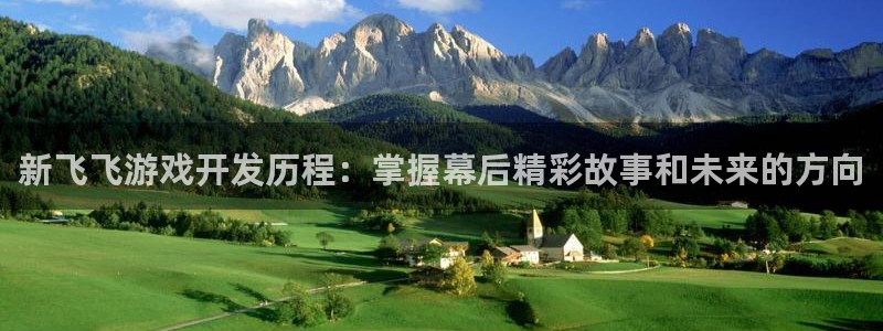 沐鸣科技有限公司官网：新飞飞游戏开发历程
