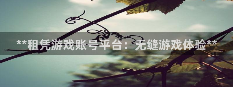 沐鸣娱乐官网：**租凭游戏账号平台：无缝