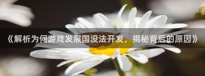 沐鸣注册账号：《解析为何游戏发展国没法开