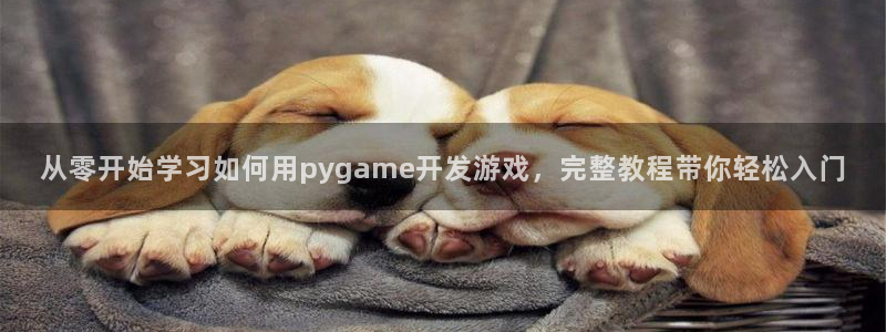 沐鸣娱乐平台登录入口下载官网：从零开始学