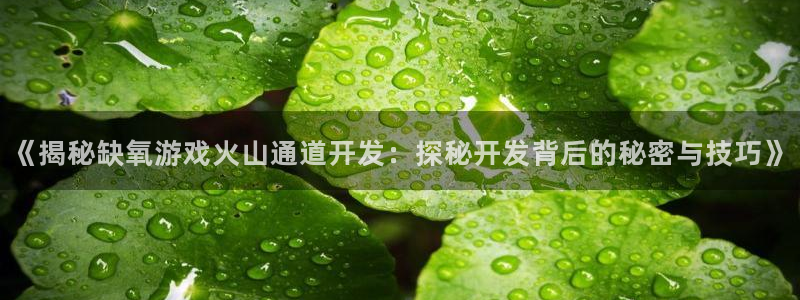 沐鸣平台官网注册：《揭秘缺氧游戏火山通道