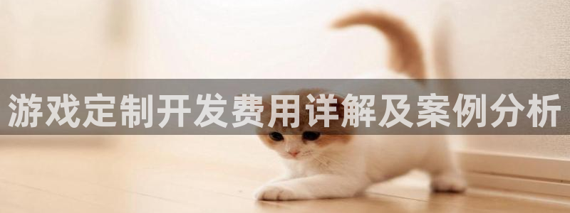 沐鸣登陆入口：游戏定制开发费用详解及案例