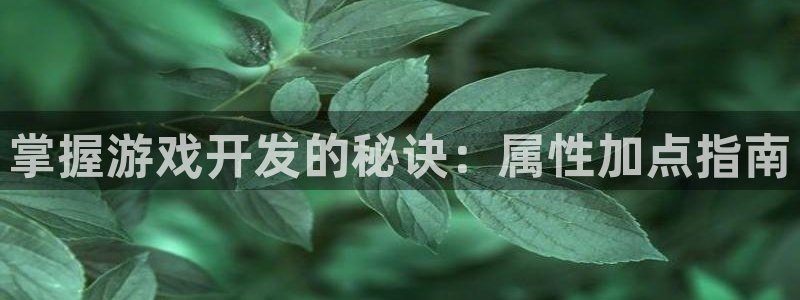 沐鸣娱乐1注册登录平台：掌握游戏开发的秘