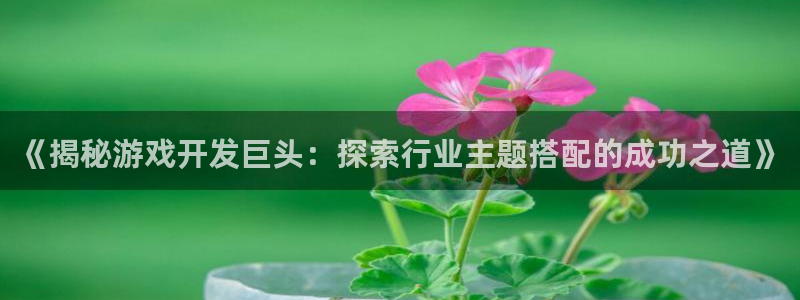 沐鸣娱乐1：《揭秘游戏开发巨头：探索行业