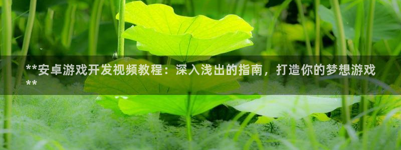 沐鸣平台~53866：**安卓游戏开发视