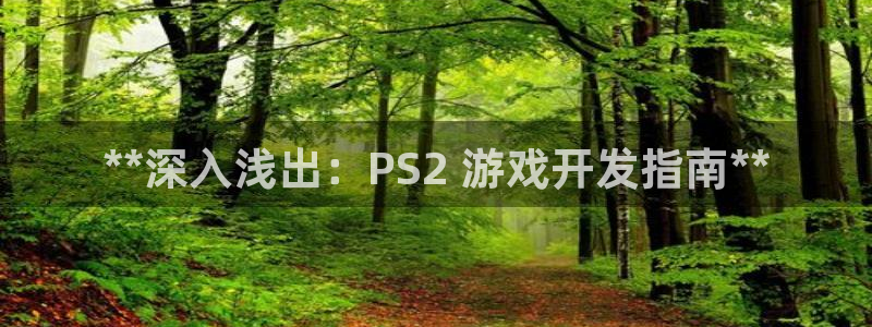 沐鸣在线登录：**深入浅出：PS2 游戏