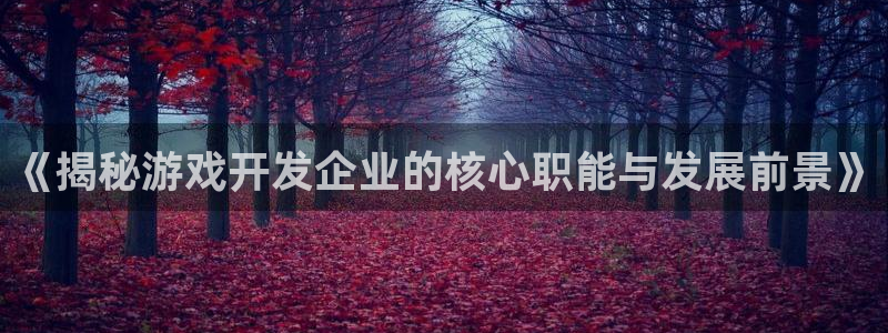 沐鸣平台代理注册多少钱啊：《揭秘游戏开发