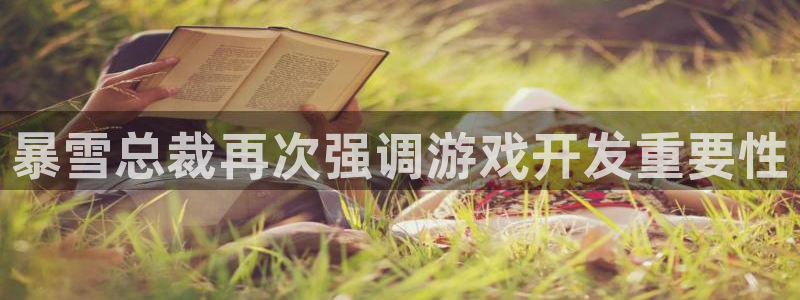 沐鸣平台招商：暴雪总裁再次强调游戏开发重