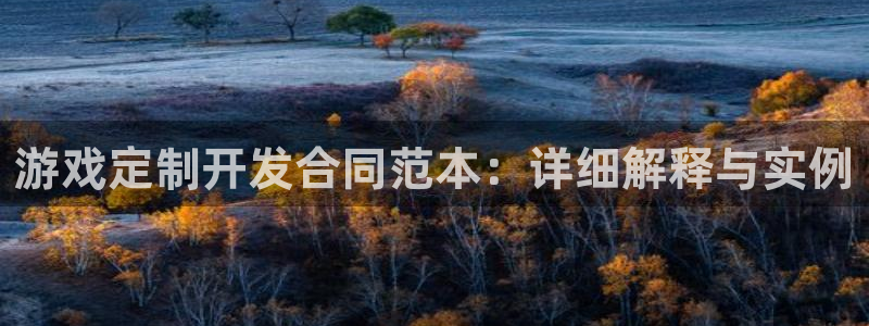 沐鸣娱乐官网首页：游戏定制开发合同范本：详细解释与